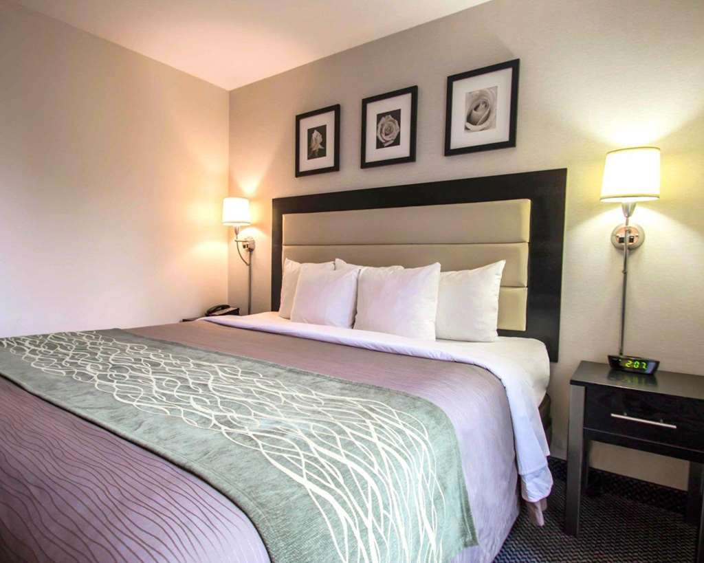 Comfort Inn Times Square South Area 纽约 客房 照片