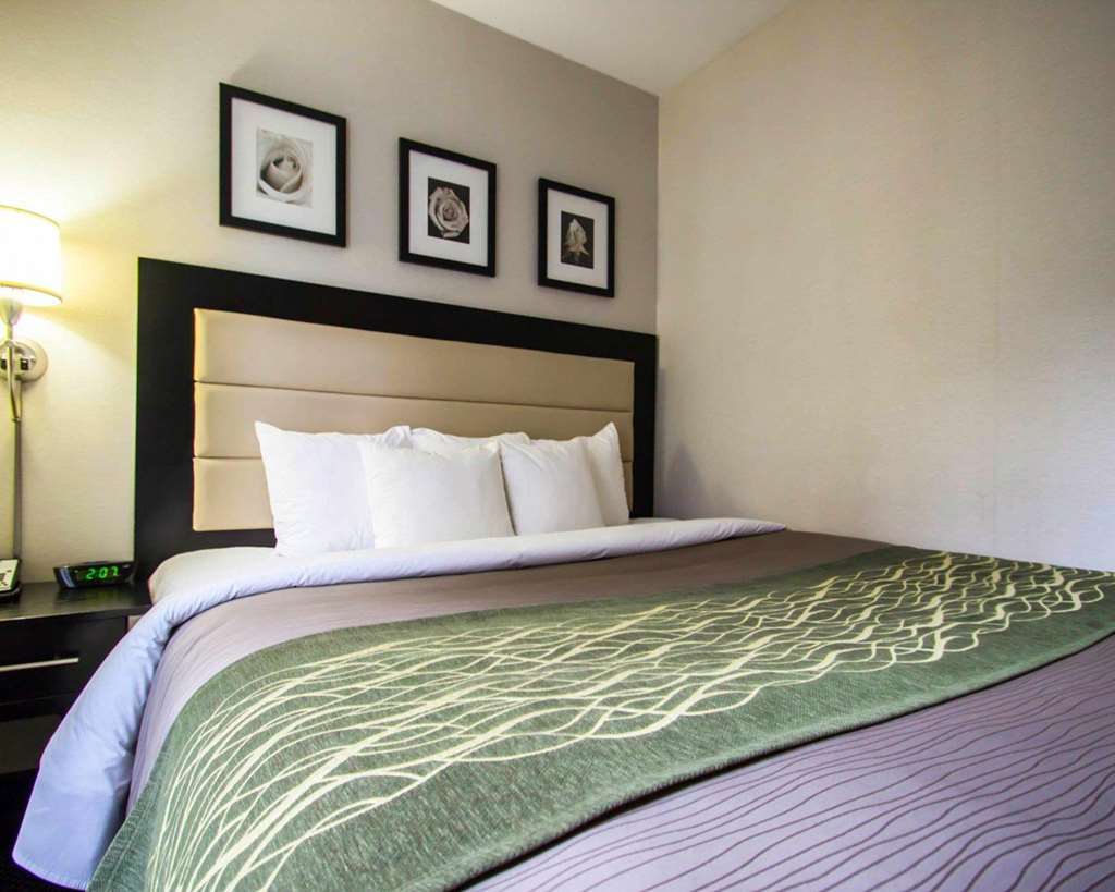 Comfort Inn Times Square South Area 纽约 客房 照片