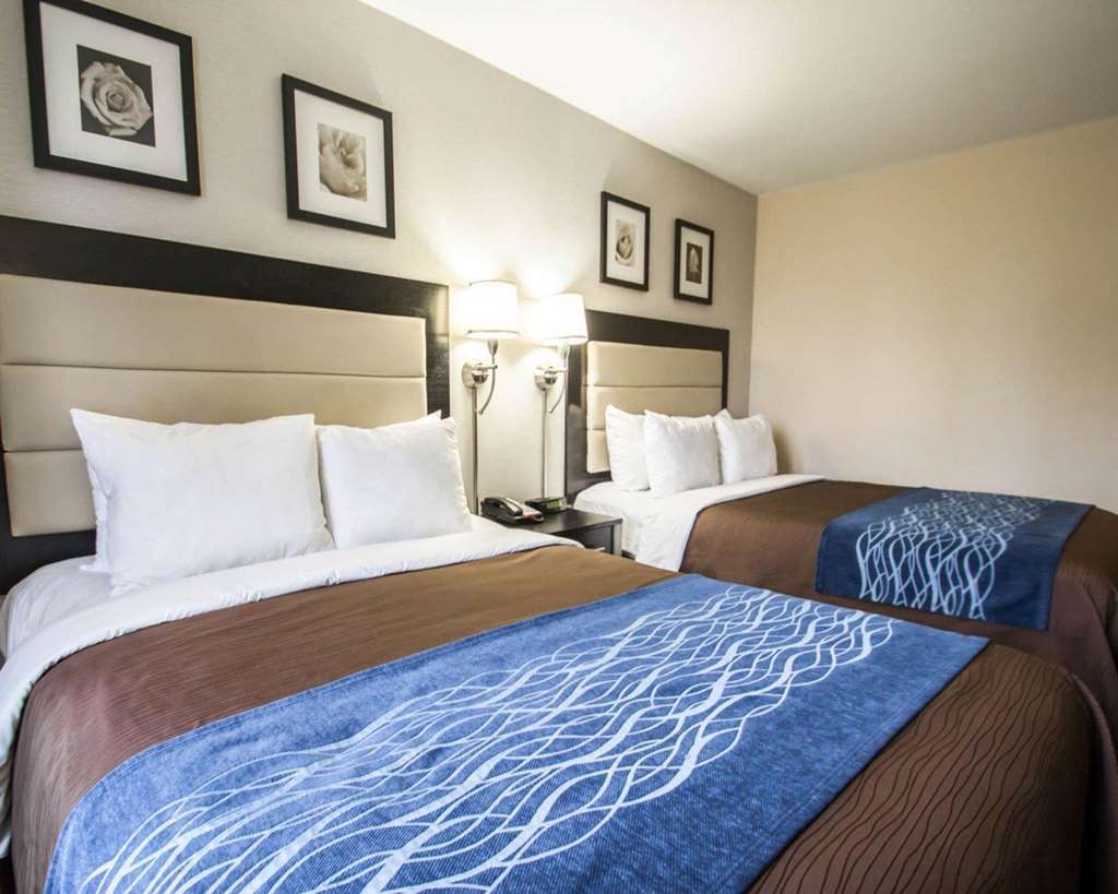 Comfort Inn Times Square South Area 纽约 客房 照片