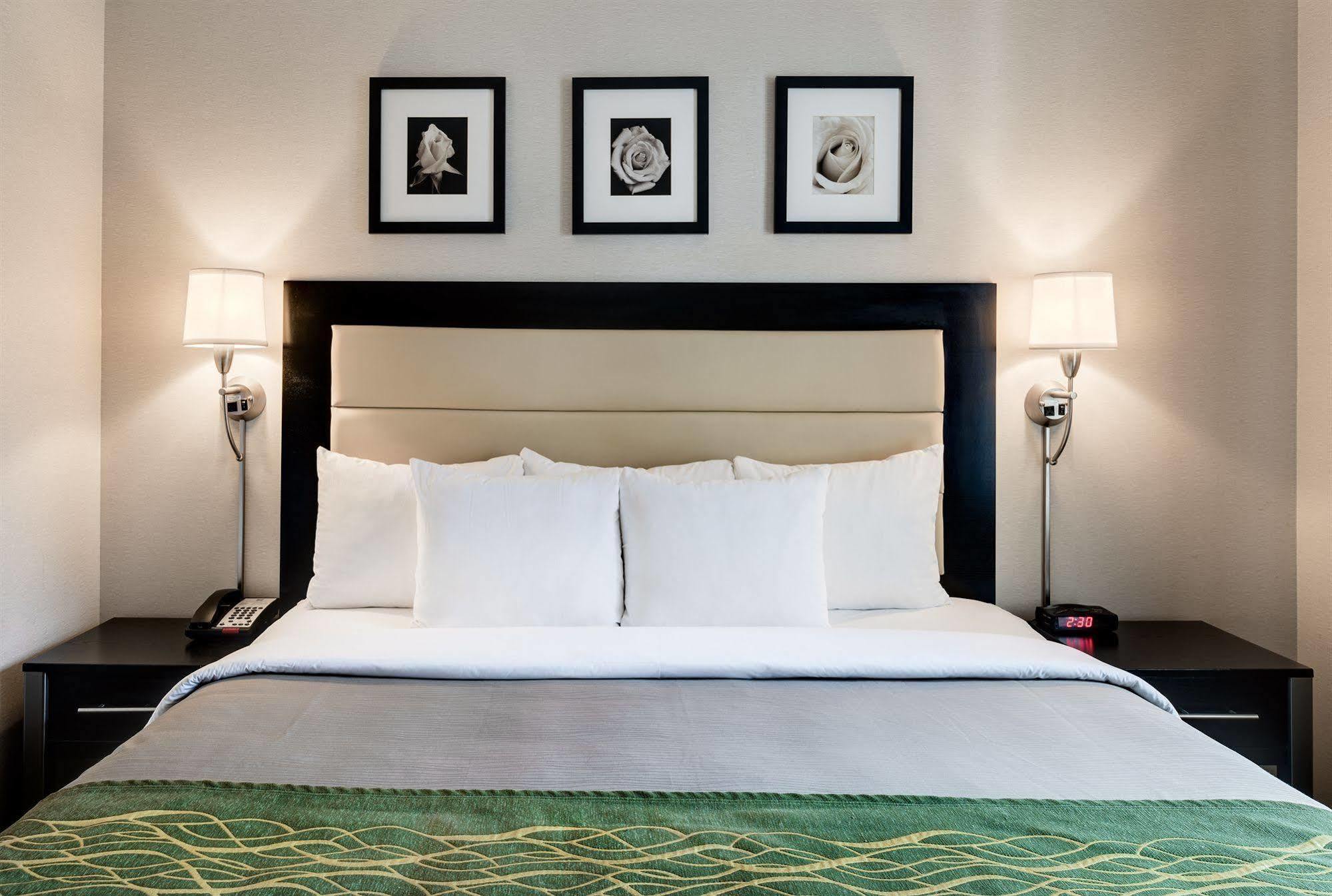 Comfort Inn Times Square South Area 纽约 外观 照片